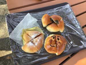 桜と馬を見ながら・・・花見2026　in JRA宮崎育成牧場②